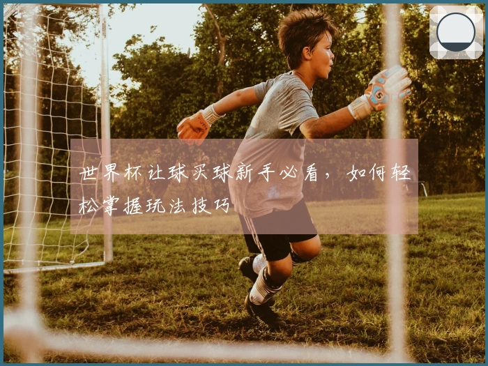 世界杯让球买球新手必看，如何轻松掌握玩法技巧