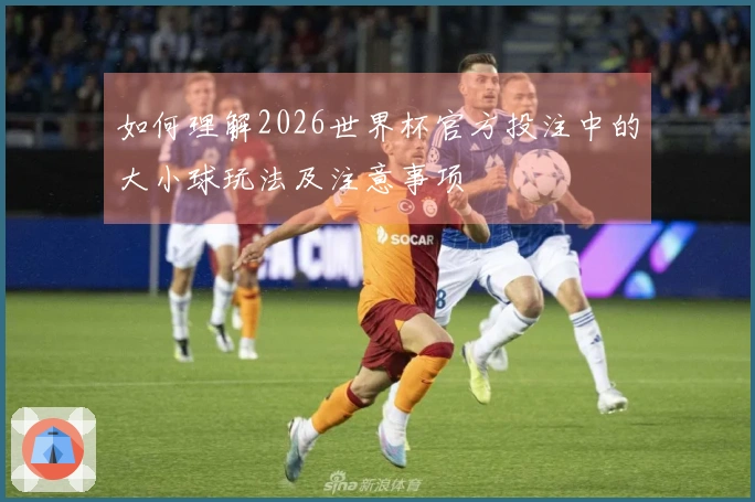 如何理解2026世界杯官方投注中的大小球玩法及注意事项