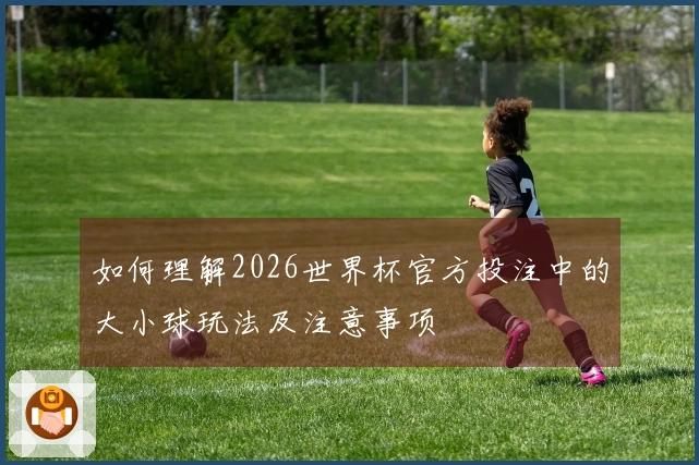 如何理解2026世界杯官方投注中的大小球玩法及注意事项