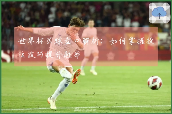 世界杯买球盘口解析：如何掌握投注技巧提升胜率